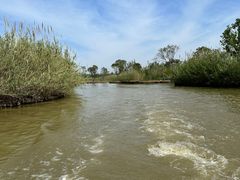 -泗洪洪泽湖湿地景区