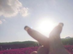 -光明小镇欢乐田园