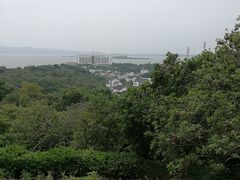 -西山樟坞健康果园枇杷杨梅采摘