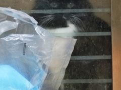 -艾贝尔宠物医院 ·内科全科(梁溪路店)