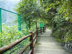 -汉中石门栈道风景区