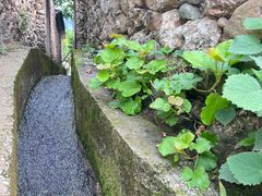 -玉湖村