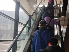 -首都医科大学附属北京天坛医院