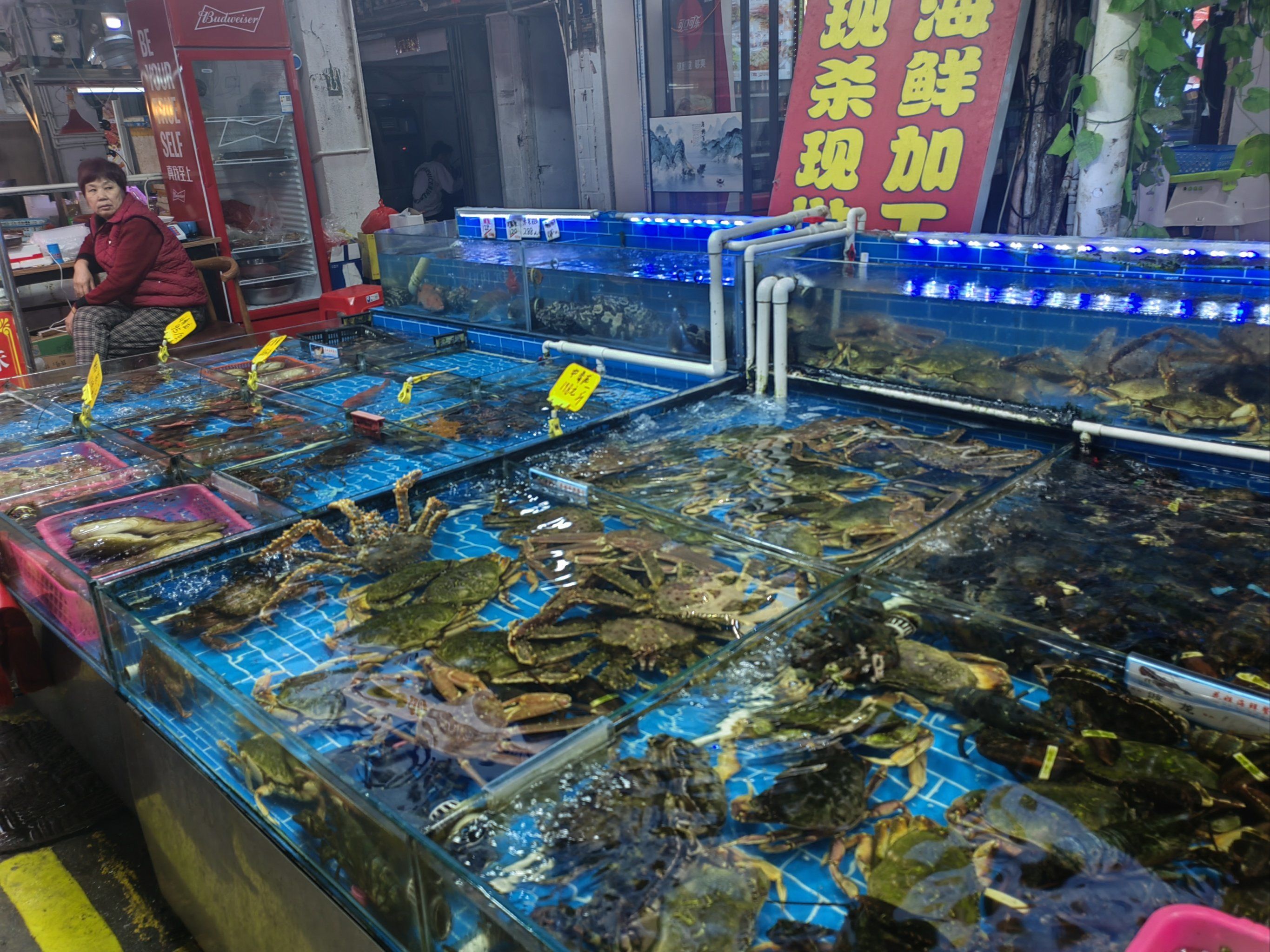 位于八市海鲜市场里面,他们门口是海鲜池,各种鲜活物种只有你想不到没