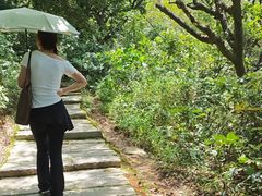 -黄埔油麻山森林公园