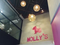 -MOLLY'S萌宠生活馆