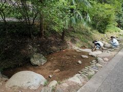 -都江堰中华大熊猫苑