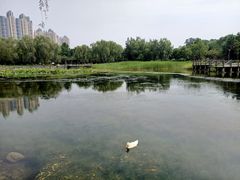 -望湖公园