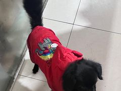 -寶牯佬邵阳米粉