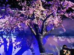 -绿茶餐厅(朝阳大悦城店)
