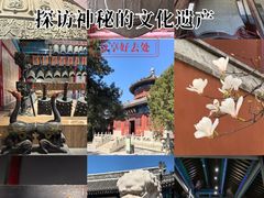 -大钟寺古钟博物馆