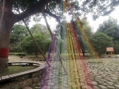 -福建鲤鱼洲酒店