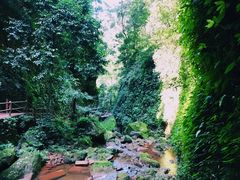 -赤水丹霞旅游区·佛光岩