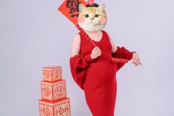 -玛瑞莎·儿童·亲子摄影(越秀店)