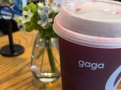 -gaga(深圳南山益田假日广场店)