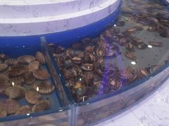 -澜悦港海鲜体验主题餐厅