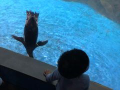 -常州海昌海洋探索馆