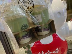 雪山钙奶暮冬抹茶-娃哈哈奶茶(富阳鹿山时代店)