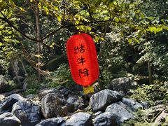 -石台牯牛降景区