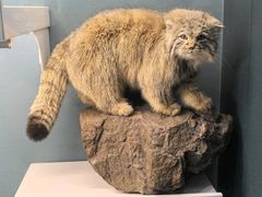 -国家自然博物馆