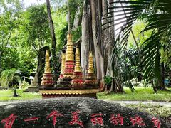 -瑞丽独树成林风景区