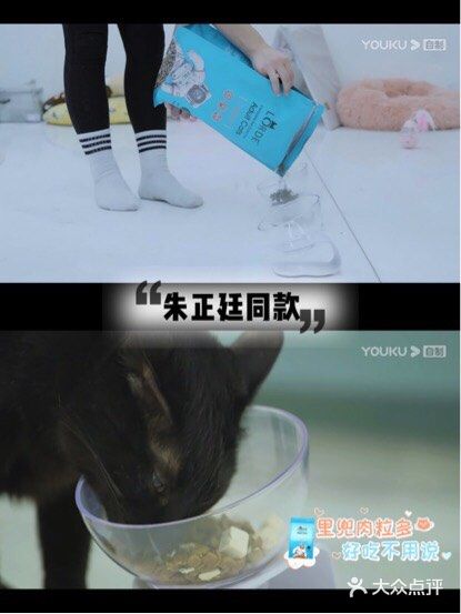 🐈养宠科普 | 国产网红猫粮评测报告！