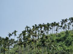 -万泉河漂流