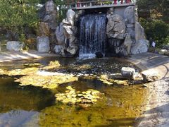 -国家植物园南园