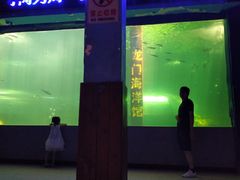 -洛阳龙门海洋馆