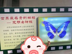 -上海昆虫博物馆
