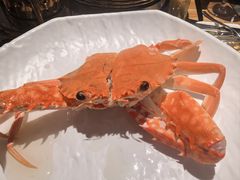 -亚特兰蒂斯-番红花自助餐厅·海鲜·刺身·小火锅