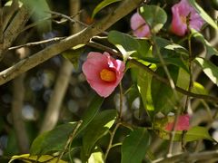 -苏州河梦清园环保主题公园