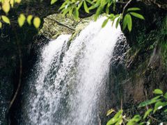 -龙苍沟森林公园