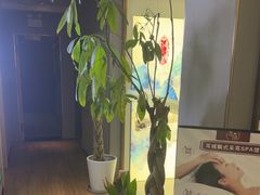 -耳域躺式采耳SPA馆(新街口店)