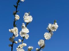 -瀛海足球主题公园