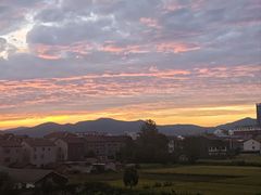 -沈姐万州烤鱼(沙坪坝七中店)