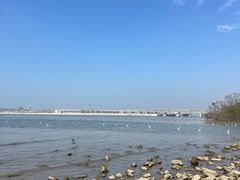 -宝安西湾红树林湿地公园