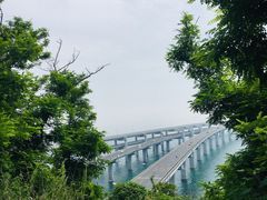 -星海湾跨海大桥
