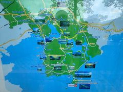 -广东惠东海龟国家级自然保护区