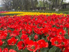 -玄武湖景区-情侣园游乐场