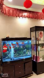 -伊淑颜女子美容SPA会馆