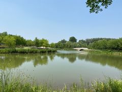 -东郊湿地公园