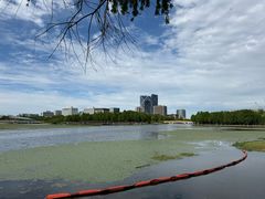 -南汇新城城市公园