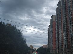 -小胖包子王(赵公口店)