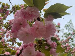 -西北湖绿化广场