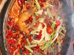 -老板恋上鱼(恒隆广场店)