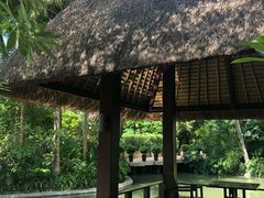 -三亚湾海居铂尔曼度假酒店