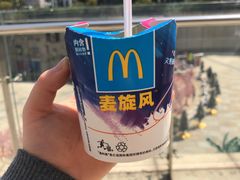 -麦当劳(塔园路店)