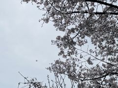 -鸡鸣寺