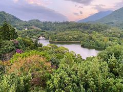 -深圳仙湖植物园